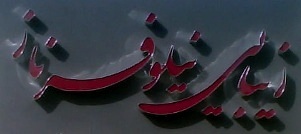 نیلوفر ناز